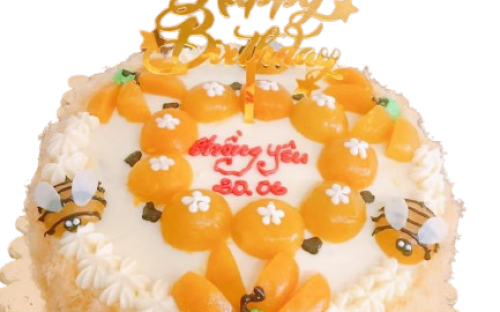 Sinh Nhật & Các Dịp Đặc Biệt